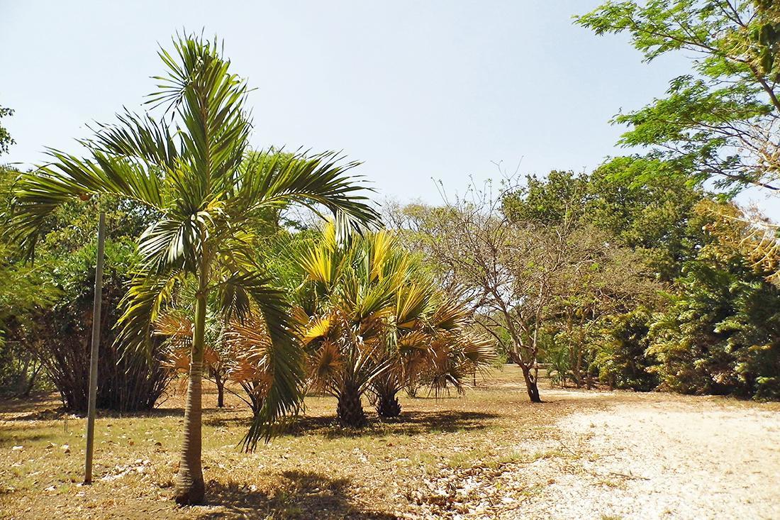 Hotel Rio Tempisque Nicoya Luaran gambar